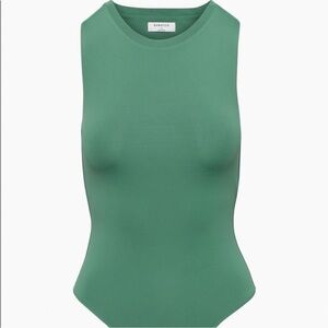 Aritzia Babaton Bodysuit